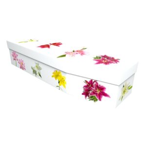 Lily Cardboard Coffin - Price Reduced!