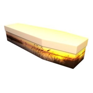 Spring Sunset Cardboard Coffin - Price Reduced!