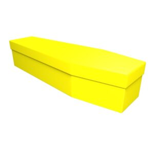 Yellow Cardboard Coffin - Price Reduced!