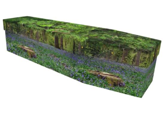 Bluebell Forest Cardboard Coffin