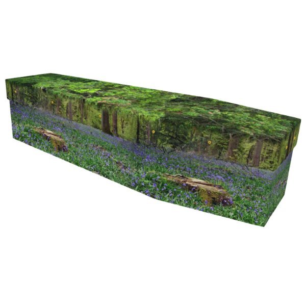 Bluebell Forest Cardboard Coffin