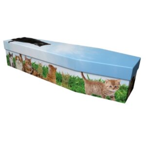 Cats Cardboard Coffin