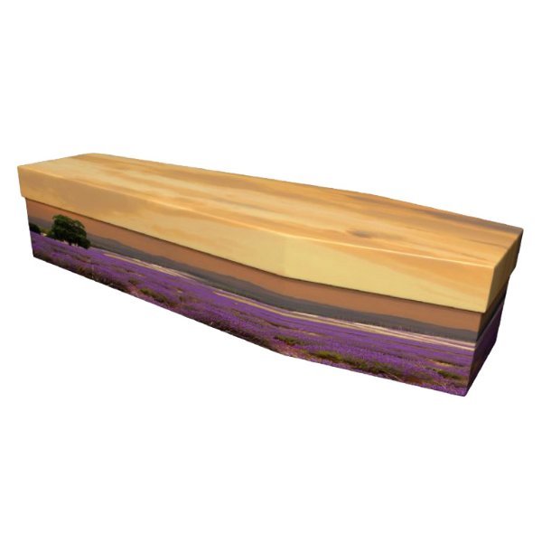 Lavender Sunset Cardboard Coffin