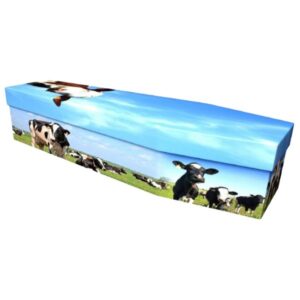 Cows Cardboard Coffin