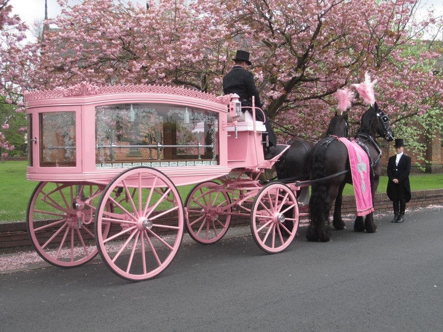 Horsey hearses