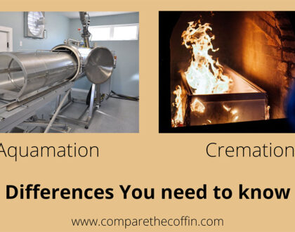 Aquamation Vs. Cremation: Differences You Need To Know