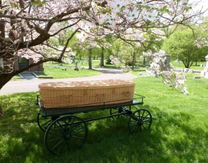 7 Facts About Your Green Burial Options