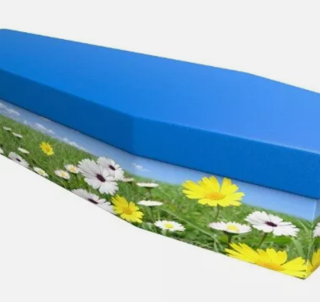 Summer Coffin Choices